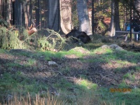 IMG_3467.jpg, 35kB
